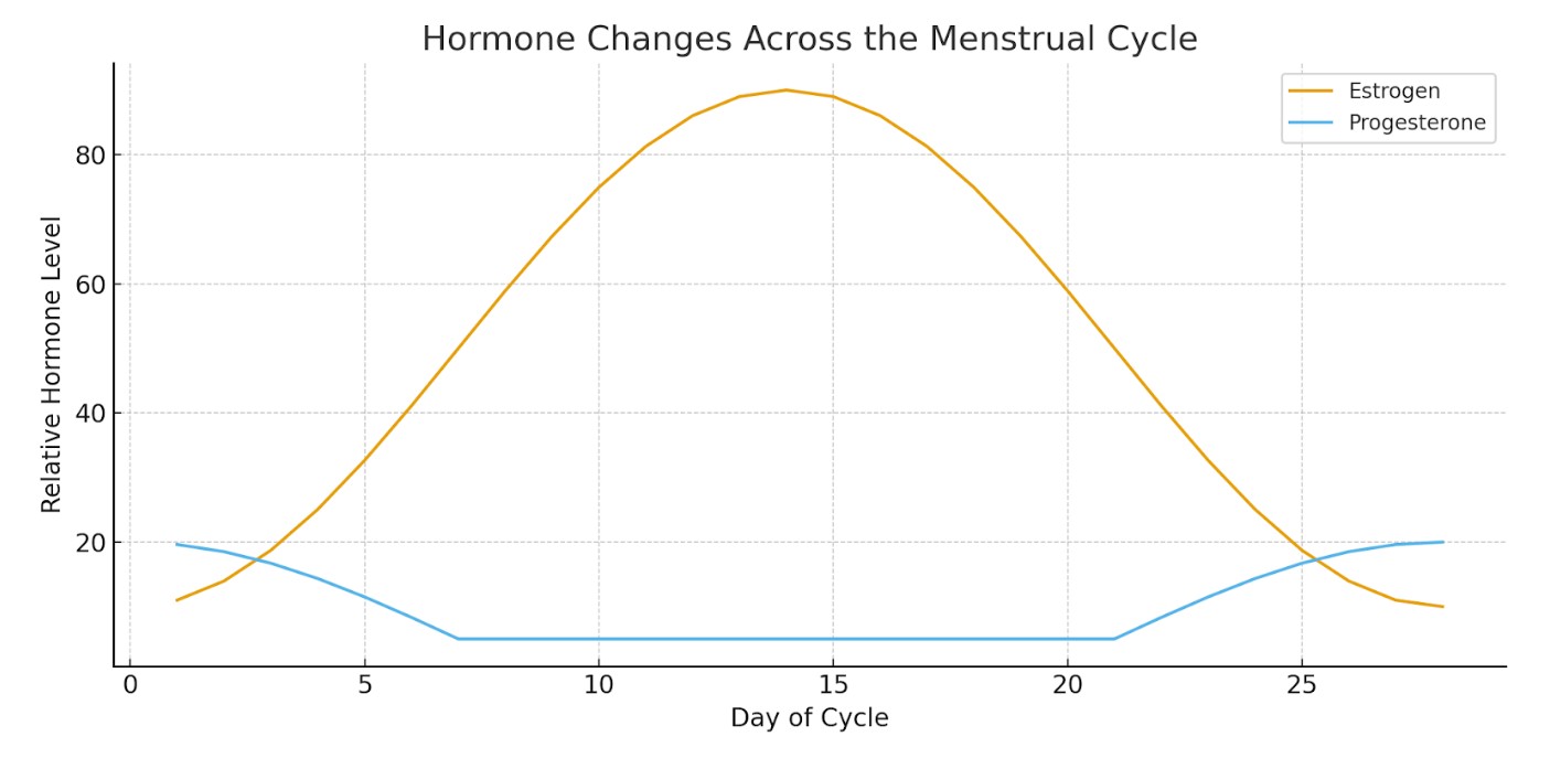 Diagram showing hormone changes across the menstrual cycle